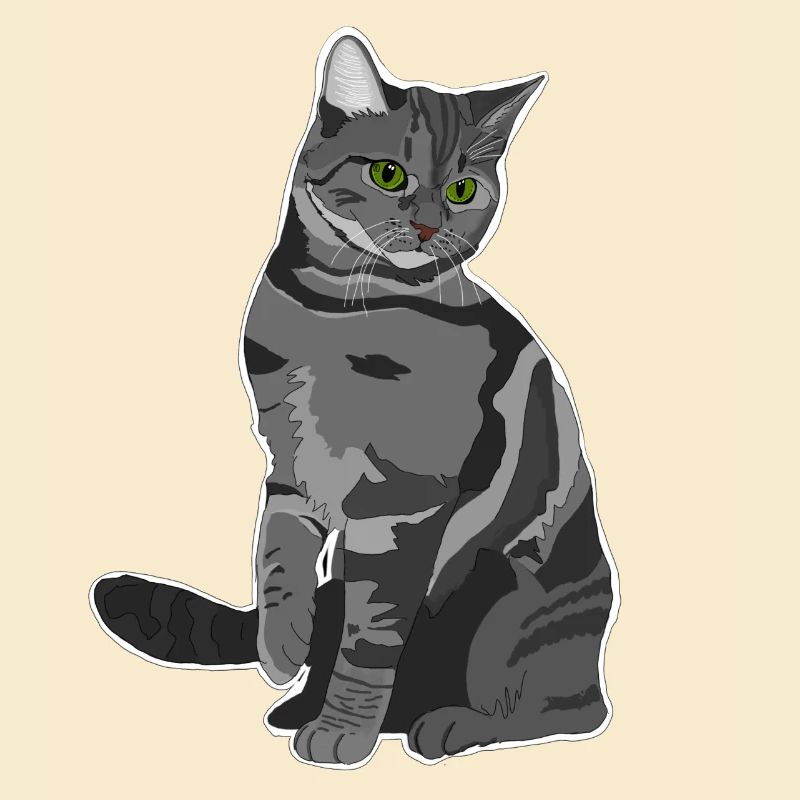 Chat gris