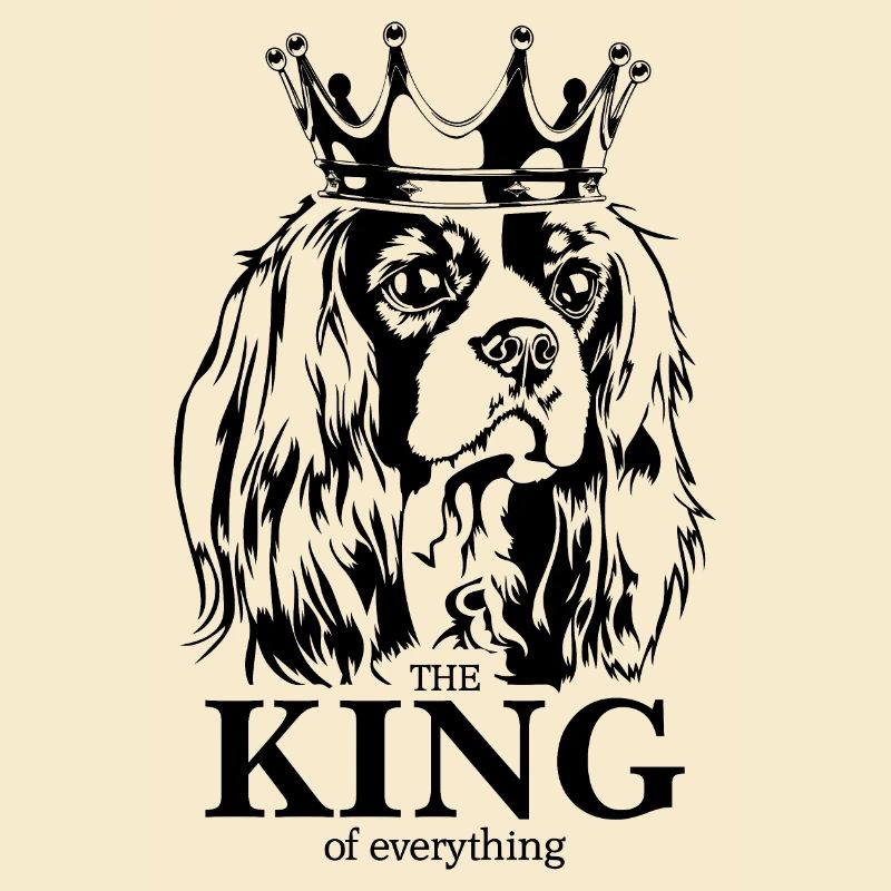 Cavalier King Charles Spaniel King chiens Wilsigns