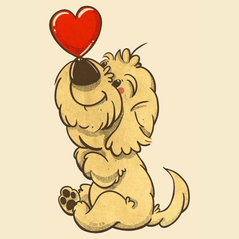 Cockapoo Thor mit einem Herz auf der Nase