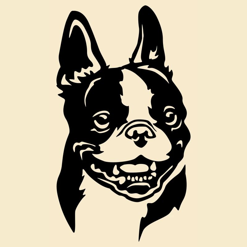 Boston Terrier Kopf