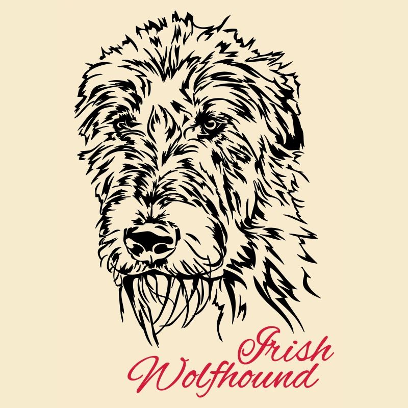 IRISH WOLFHOUND Irish Wolfhound Wilsigns dogs