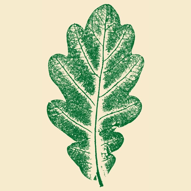 Oak Leaf Green - Monocolor - Leaf/Oak/ Tree