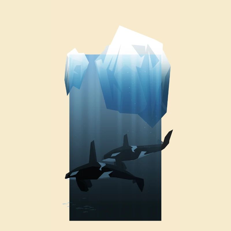 Killer whale