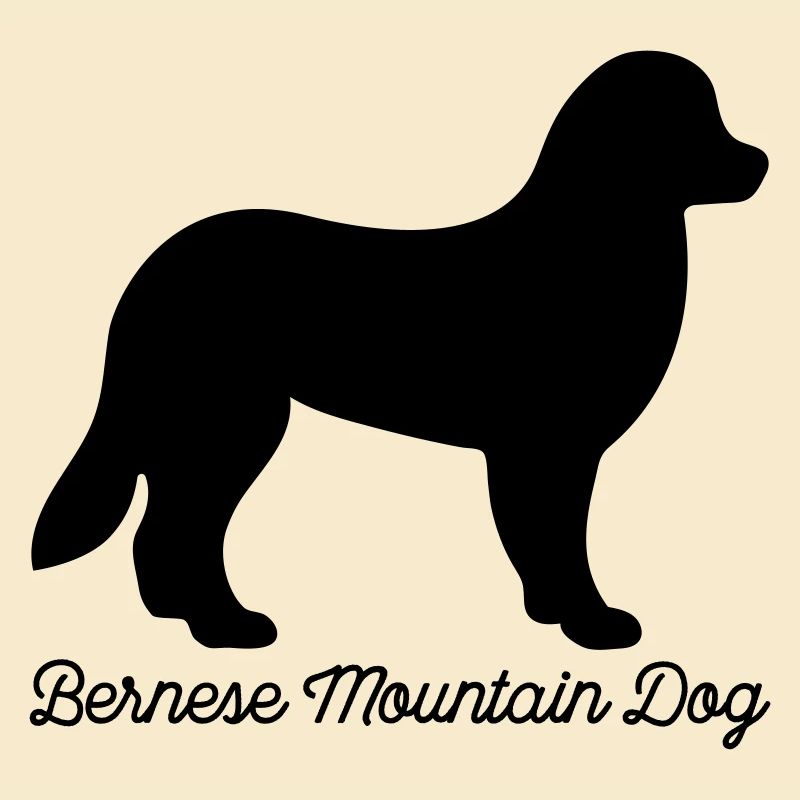 Bouvier bernois