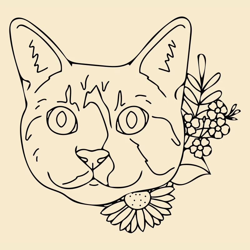 chat
