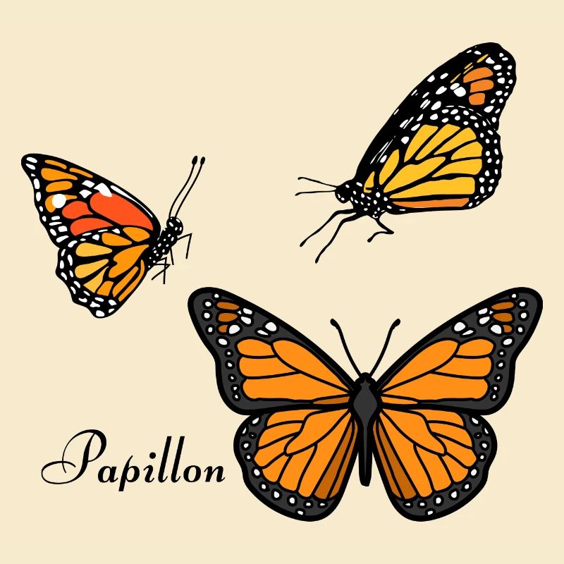 Groupe de papillons
