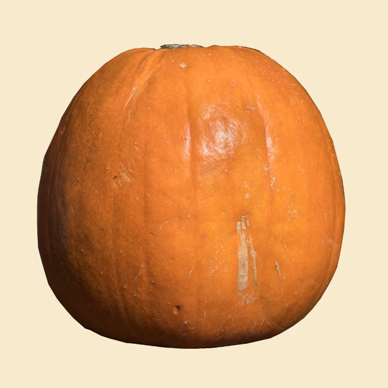 Pumpkin