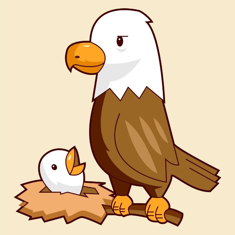 Eagle eagle baby nest bird
