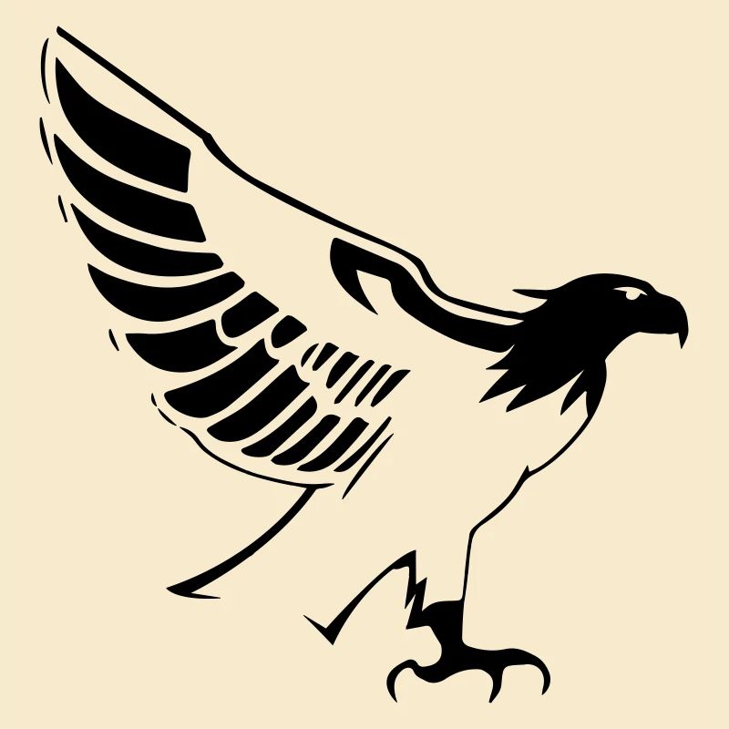 aigle qui vole ouvrant les ailes de profile