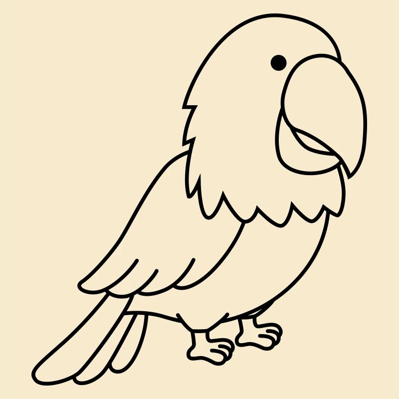 perroquet