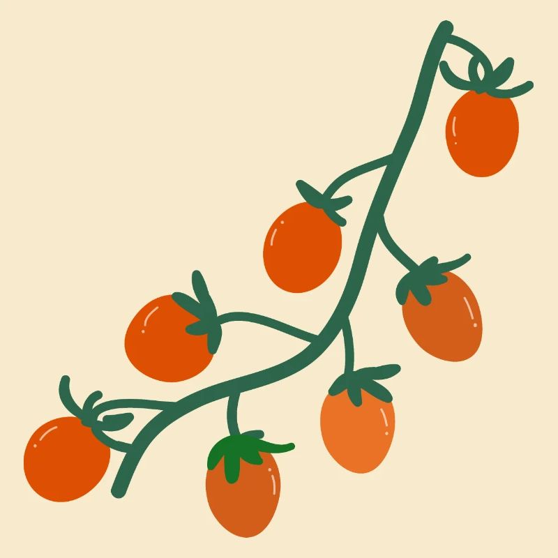 Cherry tomatoes２