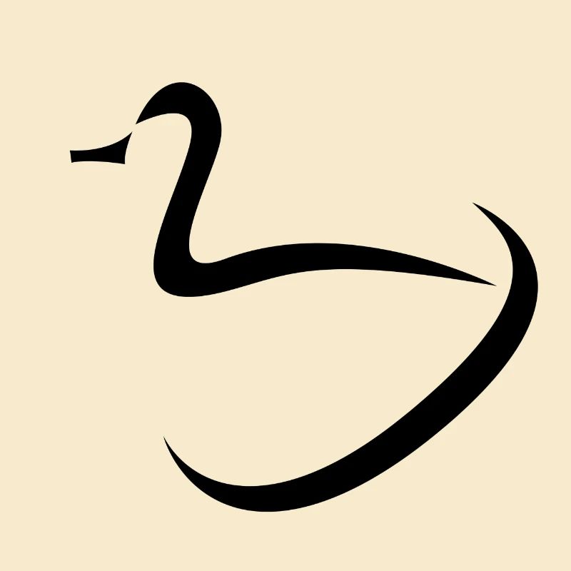 Conception de canards