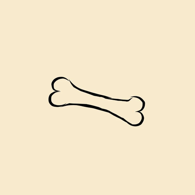 Os bone