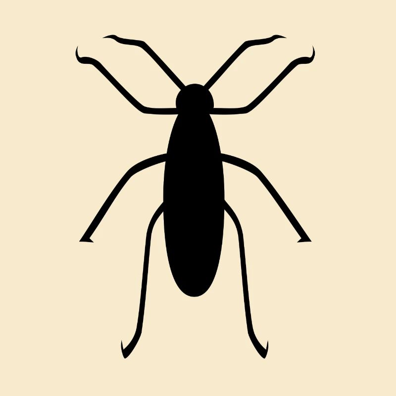 insecte