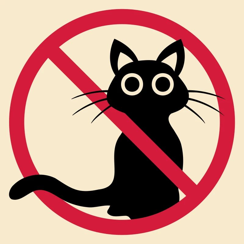 Chat noir interdit