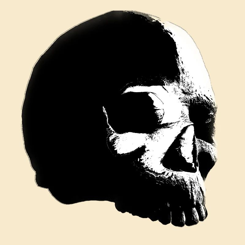 SKULL 1