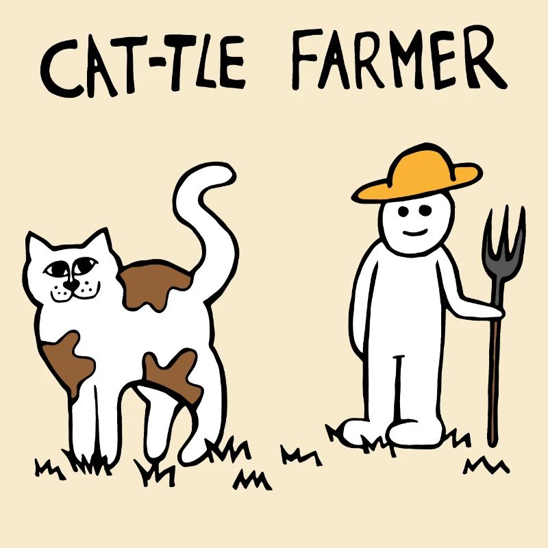 Rinder Katze Bauer