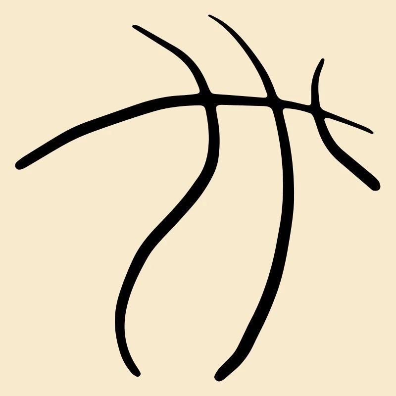 Basketbäll 13 Zeichenfläche 13