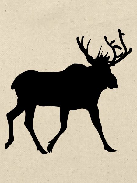 elk