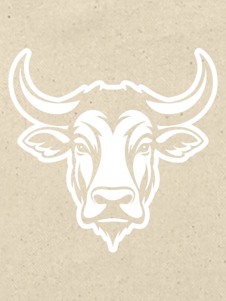 Bulle Kopf Taurus
