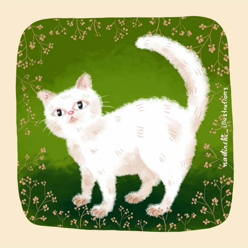 chat mignon