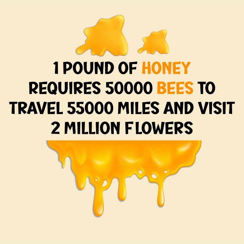 Beekeeping Beekeeping Course Beekeepers' Association Honey Bee Beekeepers
