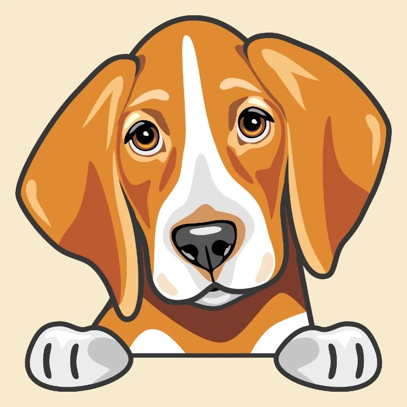 Coup d’œil mignon foxhound triste