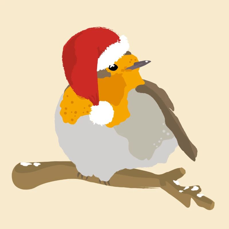 Robin avec chapeau de Noël