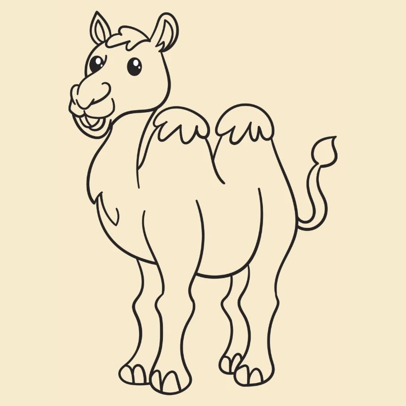 Kamel, Kamele, Geschenk, Geschenkidee