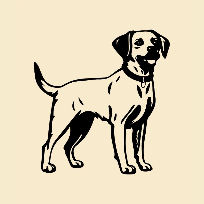 Jack Russell Terrier Dog