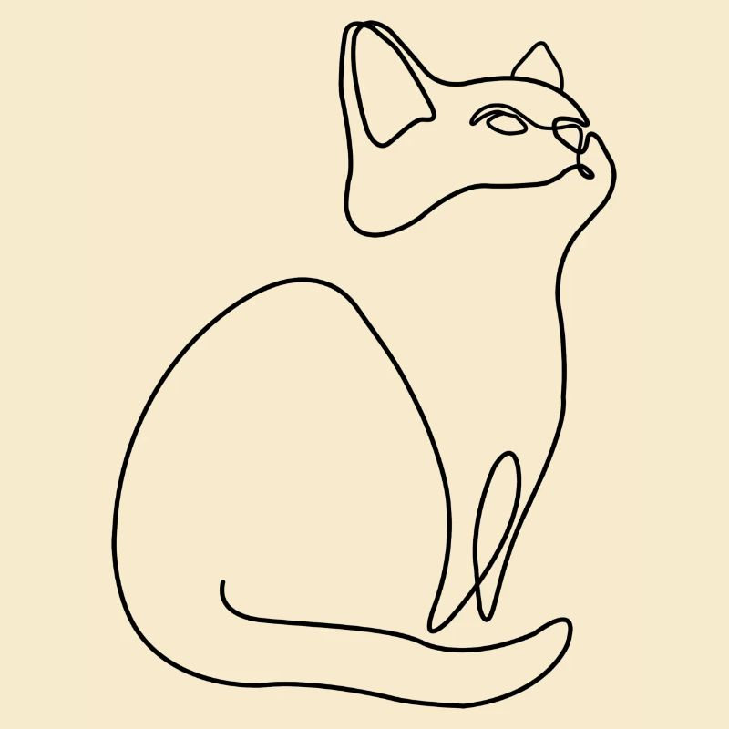 Kitten Cat Cat