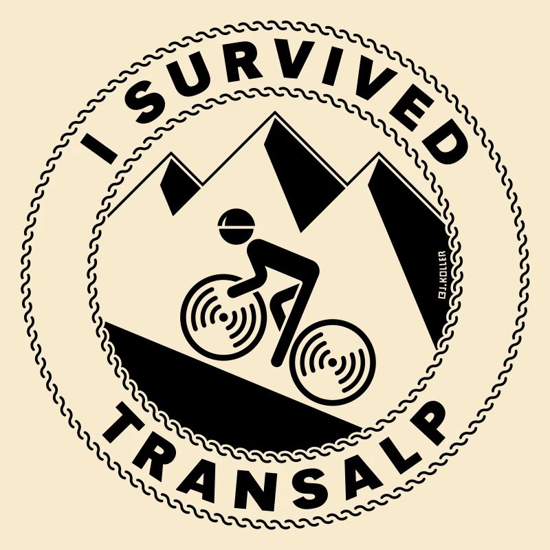 I Survived Transalp (Alpes / Vélo De Course / B)