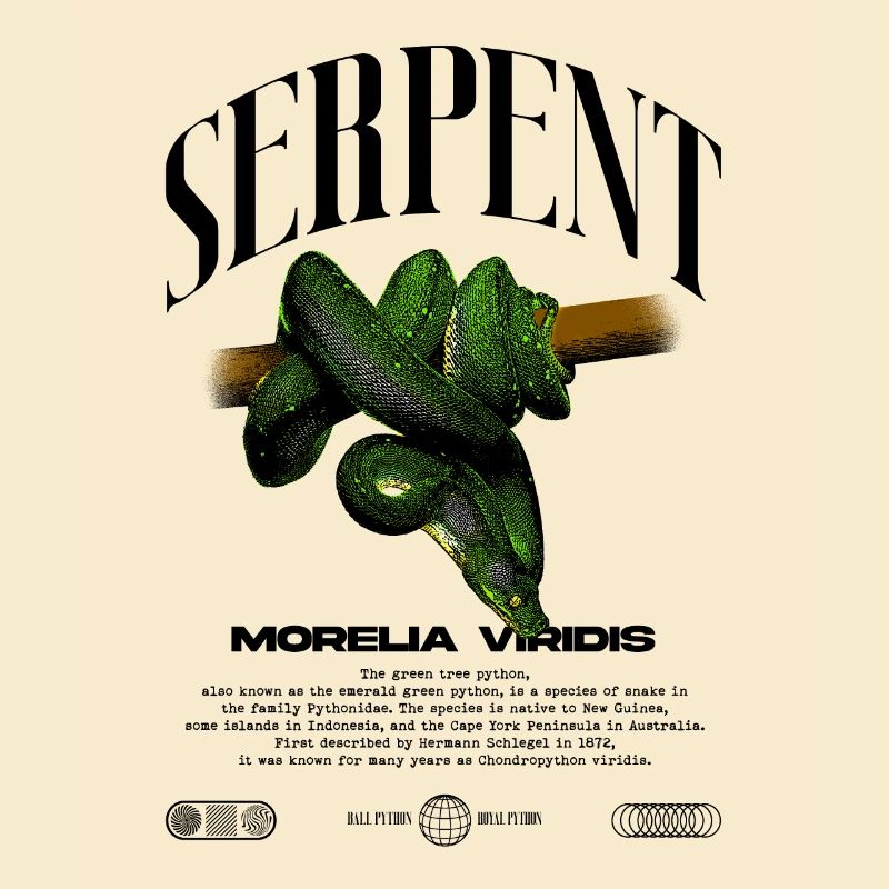 Green Tree Python Modern Reptile Keeper Streetwear