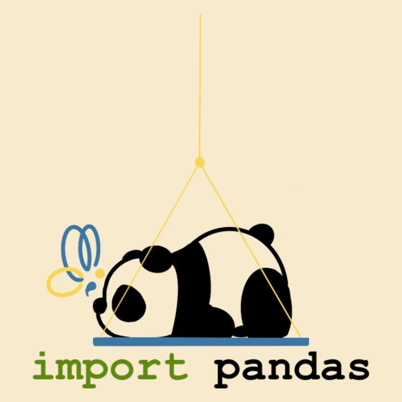 Python Jokes Import Pandas Programming
