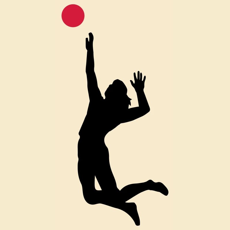 volleyball