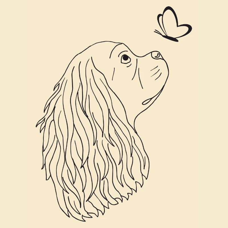 Cavalier King Charles Spaniel