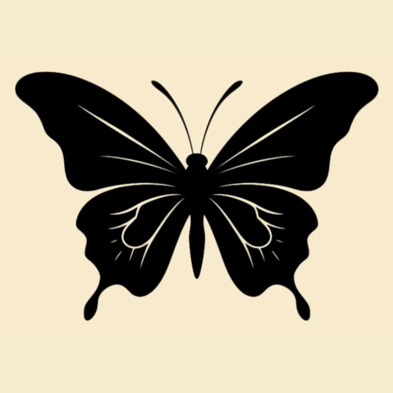 Papillon. papillon
