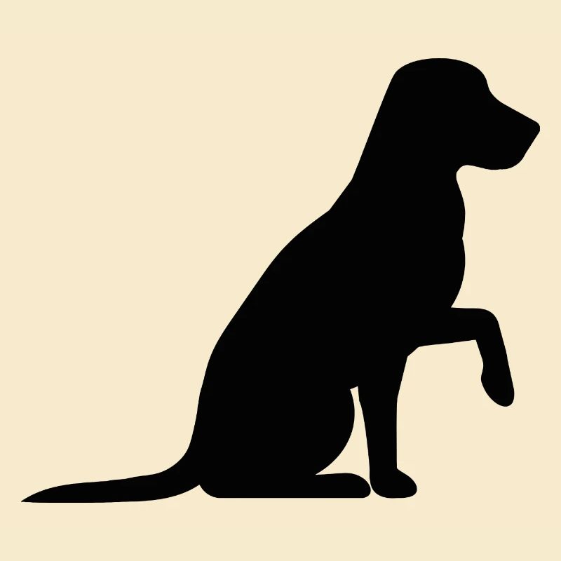 Hund