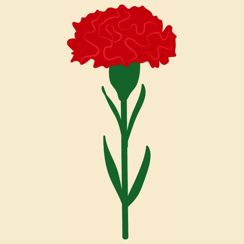 Single bright red carnation flower