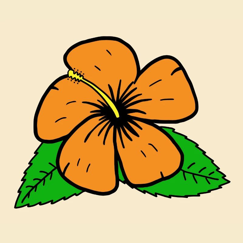 Hibiscus