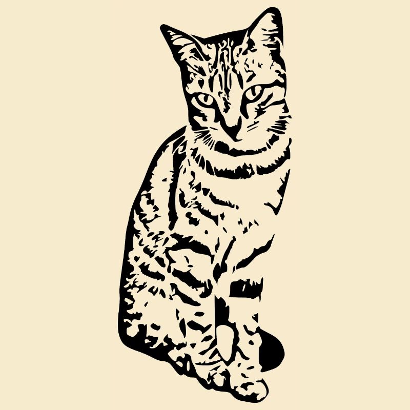 Chat Chaton Tigre Chat Chat Chat Cadeau