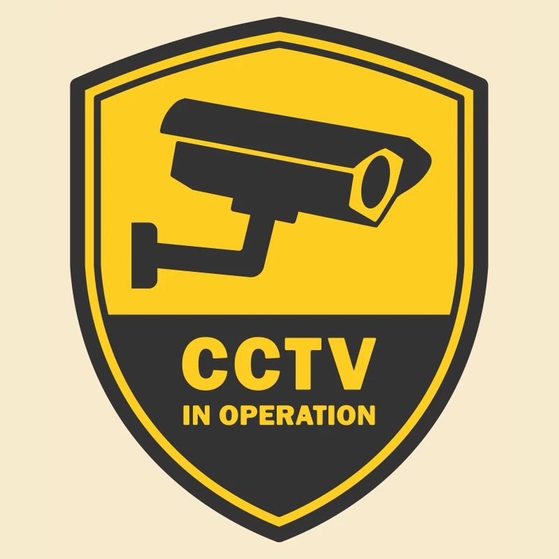 SECURITY CAMERAS IN USE - CCTV in operation