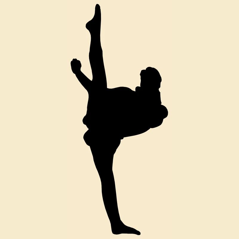 Karate oder Taekwondo High Kick