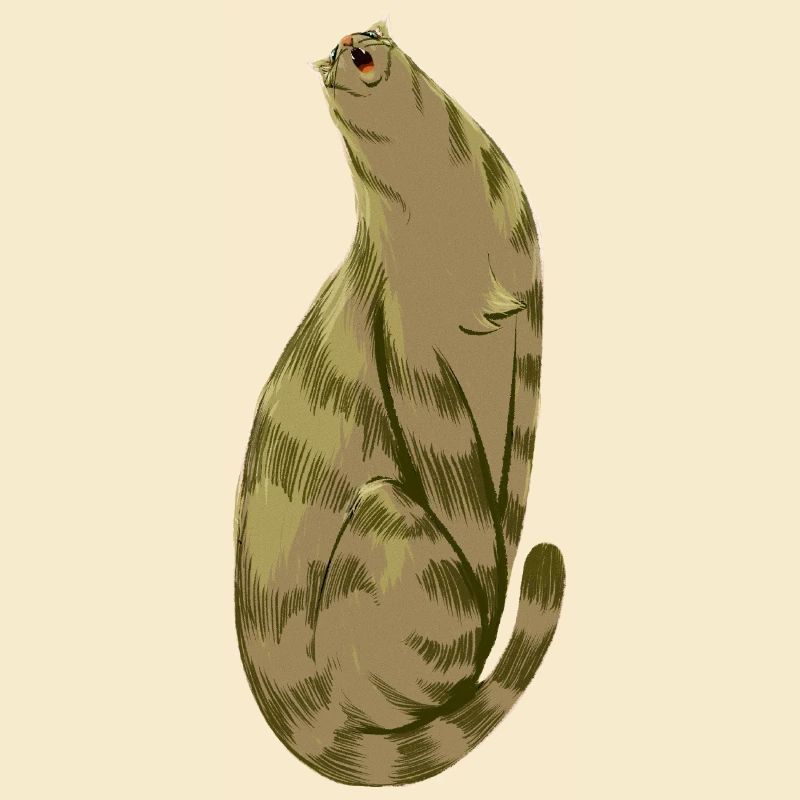 Squishy Olive