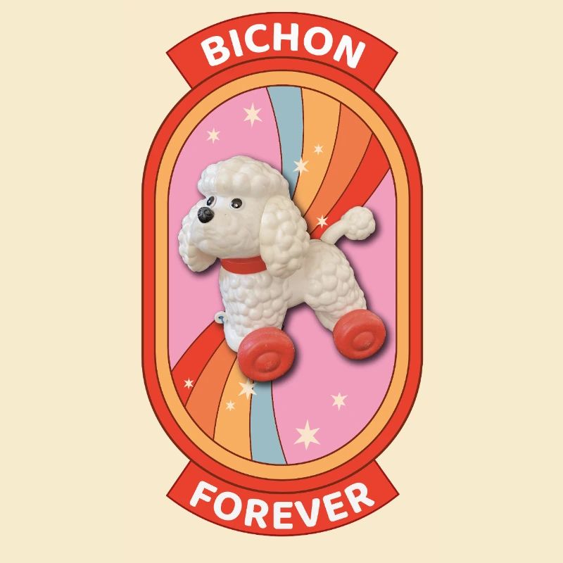 Bichon forever rainbow