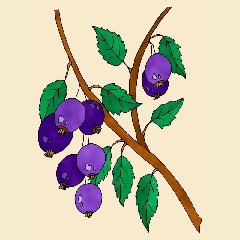 Plums