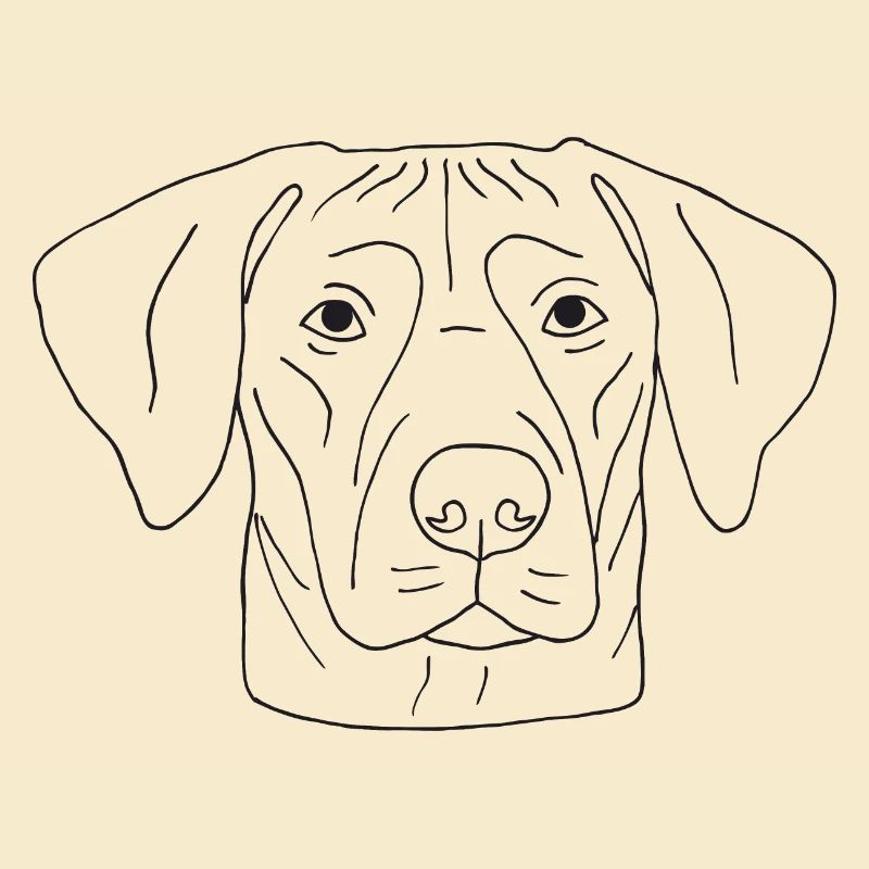 Rhodesian Ridgeback