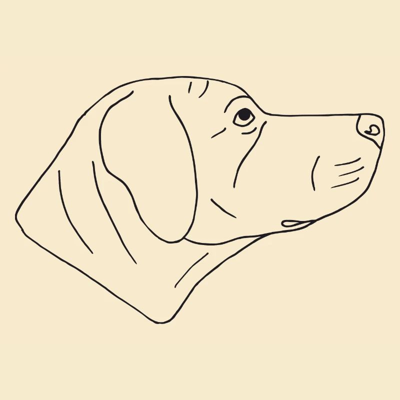 Rhodesian Ridgeback