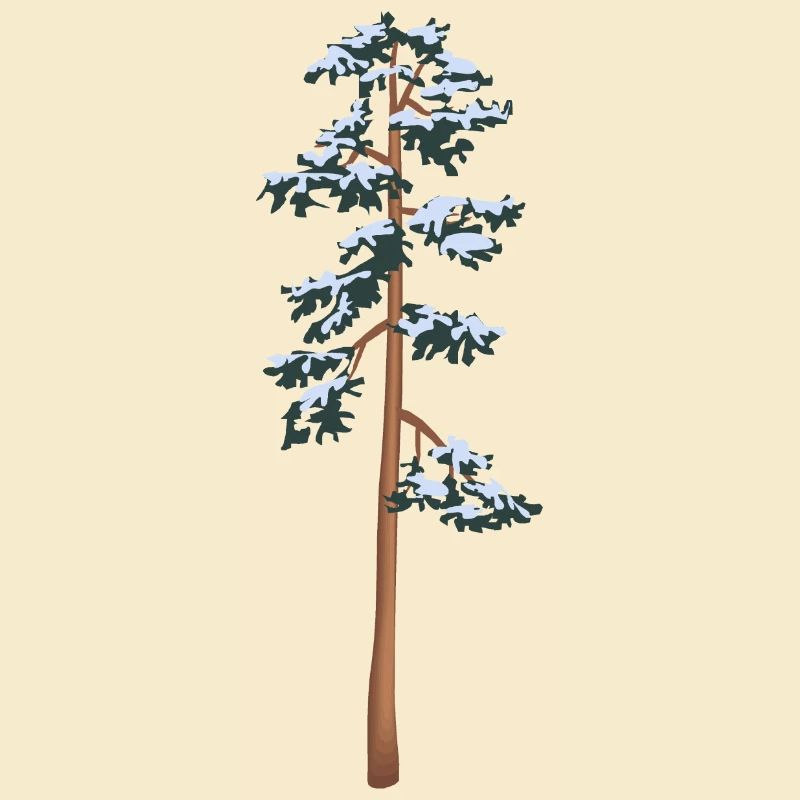 tall tree with snow