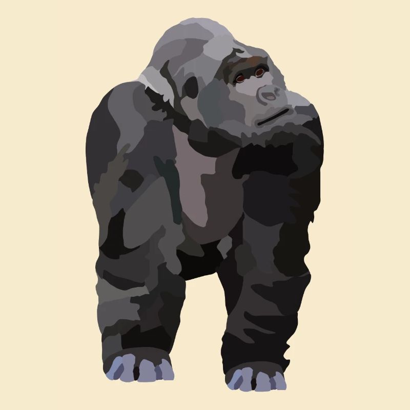Gio, der Gorilla
